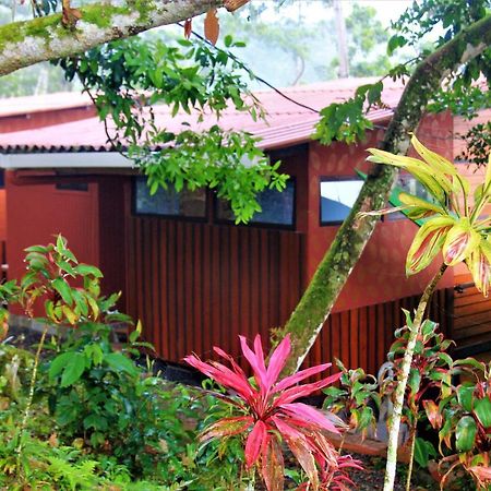 Вілла Casitas Eco Bambu Картаго Екстер'єр фото