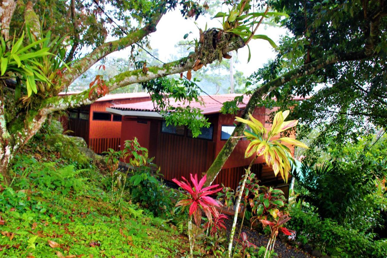 Вілла Casitas Eco Bambu Картаго Екстер'єр фото