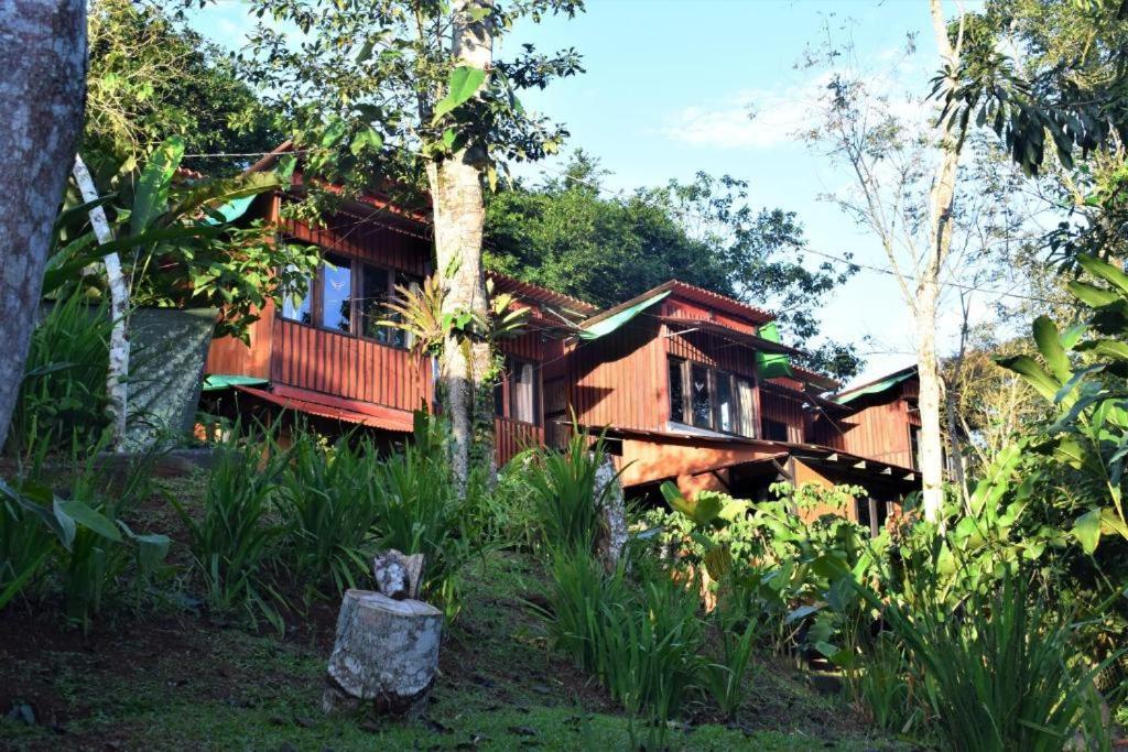 Вілла Casitas Eco Bambu Картаго Екстер'єр фото